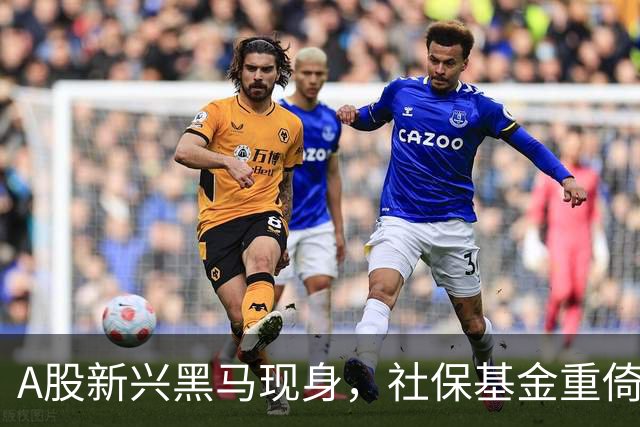 A股新兴黑马现身，社保基金重倚此公司稳健发展